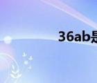 36ab是什么尺碼（36ab）