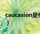 caucasion是什么意思（caution是什么意思）