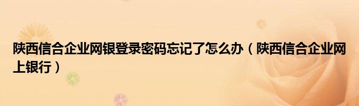 陜西信合企業(yè)網(wǎng)銀登錄密碼忘記了怎么辦（陜西信合企業(yè)網(wǎng)上銀行）