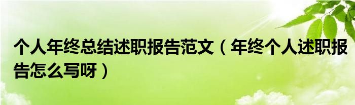 個人年終總結(jié)述職報(bào)告范文（年終個人述職報(bào)告怎么寫呀）