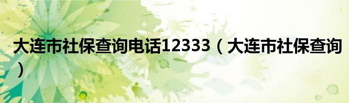 大連市社保查詢電話12333（大連市社保查詢）
