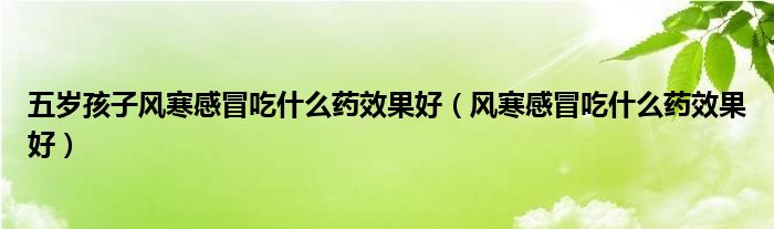 五歲孩子風(fēng)寒感冒吃什么藥效果好（風(fēng)寒感冒吃什么藥效果好）