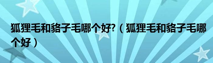 狐貍毛和貉子毛哪個(gè)好?（狐貍毛和貉子毛哪個(gè)好）