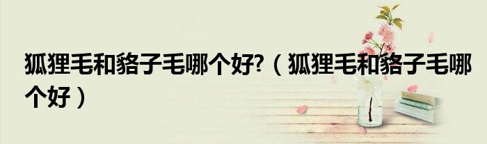 狐貍毛和貉子毛哪個好?（狐貍毛和貉子毛哪個好）