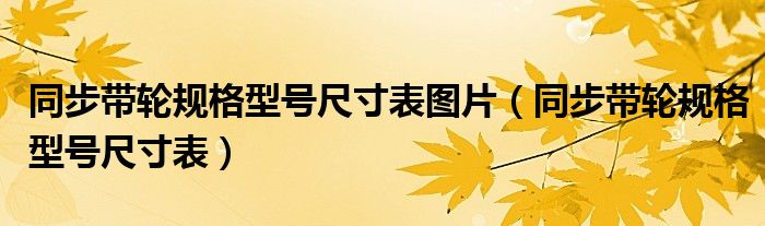 同步帶輪規(guī)格型號尺寸表圖片（同步帶輪規(guī)格型號尺寸表）