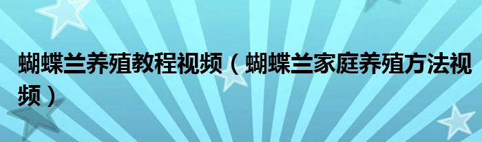 蝴蝶蘭養(yǎng)殖教程視頻（蝴蝶蘭家庭養(yǎng)殖方法視頻）