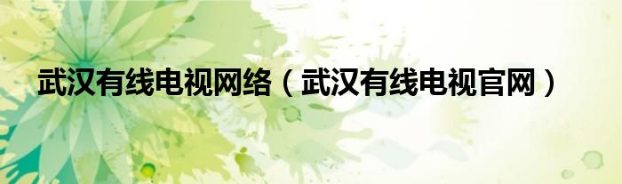 武漢有線電視網(wǎng)絡(luò)（武漢有線電視官網(wǎng)）