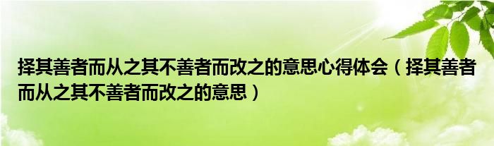 擇其善者而從之其不善者而改之的意思心得體會（擇其善者而從之其不善者而改之的意思）