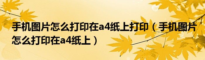 手機圖片怎么打印在a4紙上打?。ㄊ謾C圖片怎么打印在a4紙上）