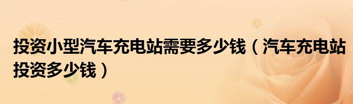 投資小型汽車充電站需要多少錢（汽車充電站投資多少錢）