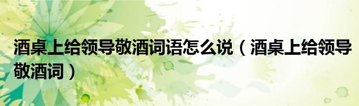 酒桌上給領(lǐng)導(dǎo)敬酒詞語怎么說（酒桌上給領(lǐng)導(dǎo)敬酒詞）