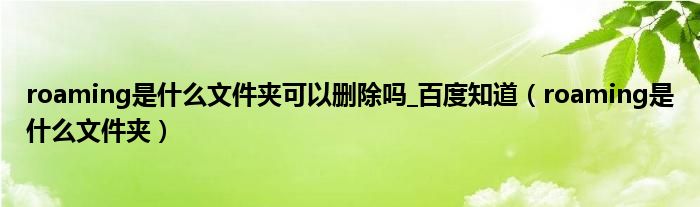 roaming是什么文件夾可以刪除嗎_百度知道（roaming是什么文件夾）