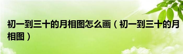 初一到三十的月相圖怎么畫（初一到三十的月相圖）