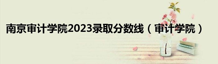 南京審計(jì)學(xué)院2023錄取分?jǐn)?shù)線（審計(jì)學(xué)院）