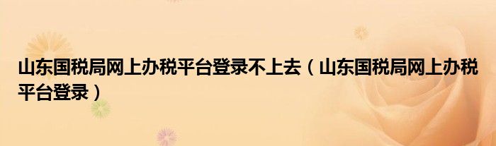 山東國稅局網上辦稅平臺登錄不上去（山東國稅局網上辦稅平臺登錄）