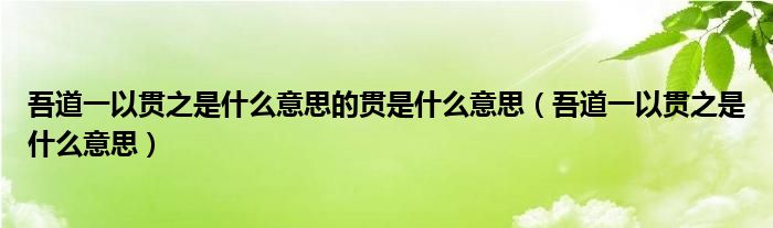 吾道一以貫之是什么意思的貫是什么意思（吾道一以貫之是什么意思）