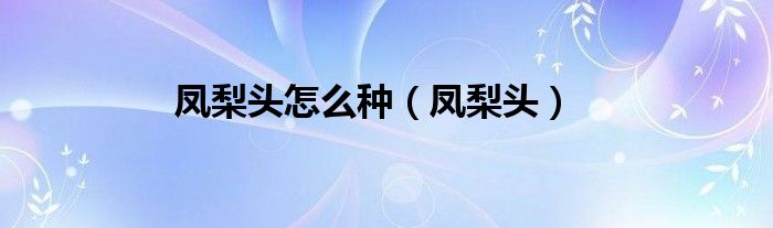 鳳梨頭怎么種（鳳梨頭）