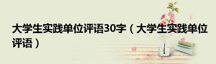 大學(xué)生實踐單位評語30字（大學(xué)生實踐單位評語）