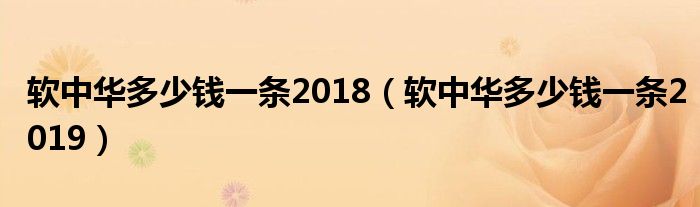 軟中華多少錢(qián)一條2018（軟中華多少錢(qián)一條2019）