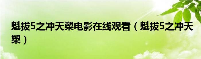 魁拔5之沖天槊電影在線(xiàn)觀看（魁拔5之沖天槊）