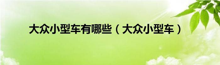 大眾小型車有哪些（大眾小型車）