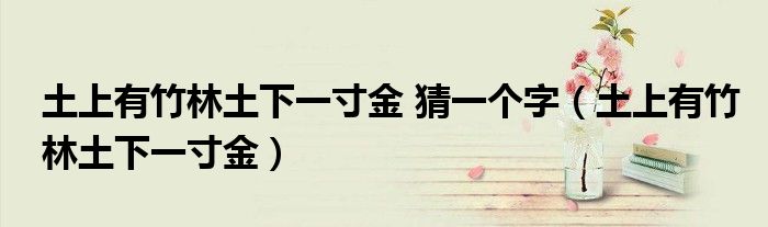 土上有竹林土下一寸金 猜一個字（土上有竹林土下一寸金）