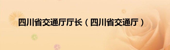 四川省交通廳廳長(zhǎng)（四川省交通廳）