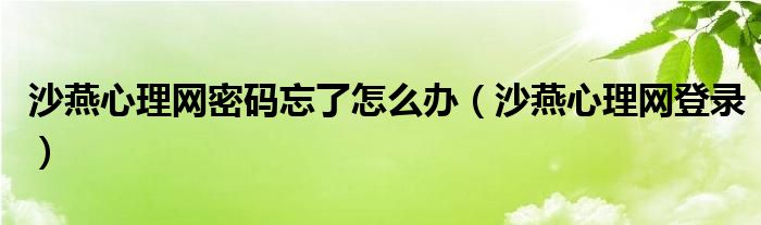 沙燕心理網(wǎng)密碼忘了怎么辦（沙燕心理網(wǎng)登錄）