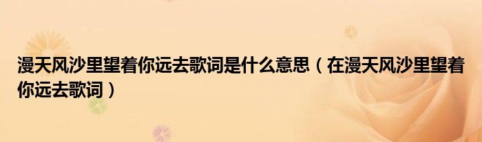 漫天風(fēng)沙里望著你遠去歌詞是什么意思（在漫天風(fēng)沙里望著你遠去歌詞）