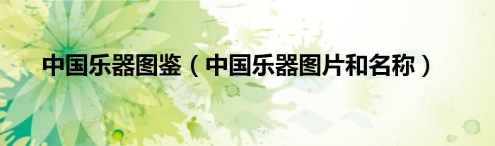 中國樂器圖鑒（中國樂器圖片和名稱）
