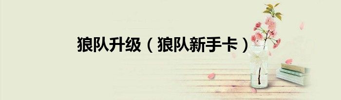 狼隊升級（狼隊新手卡）
