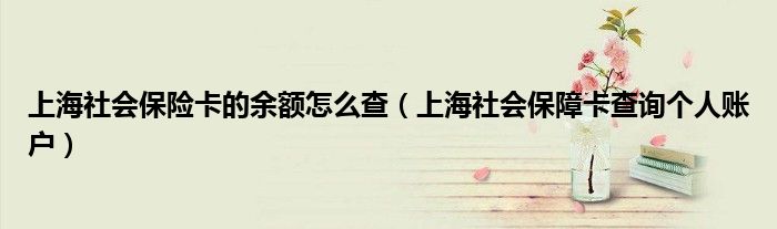 上海社會保險(xiǎn)卡的余額怎么查（上海社會保障卡查詢個人賬戶）