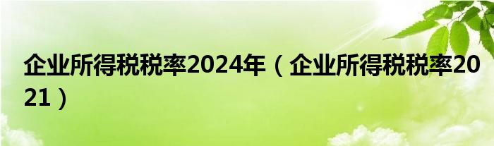 企業(yè)所得稅稅率2024年（企業(yè)所得稅稅率2021）