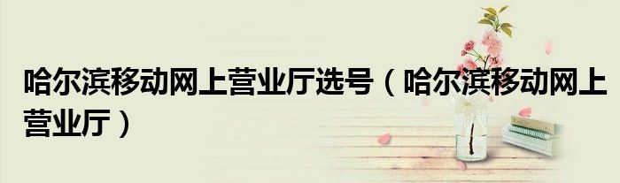 哈爾濱移動(dòng)網(wǎng)上營(yíng)業(yè)廳選號(hào)（哈爾濱移動(dòng)網(wǎng)上營(yíng)業(yè)廳）