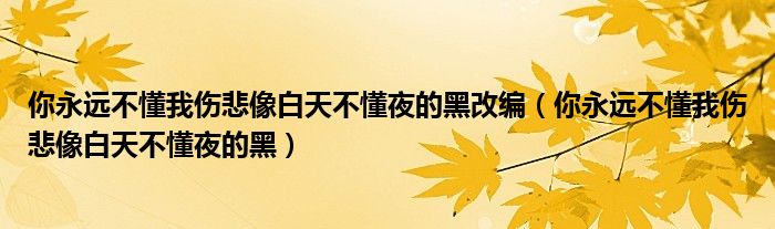 你永遠(yuǎn)不懂我傷悲像白天不懂夜的黑改編（你永遠(yuǎn)不懂我傷悲像白天不懂夜的黑）