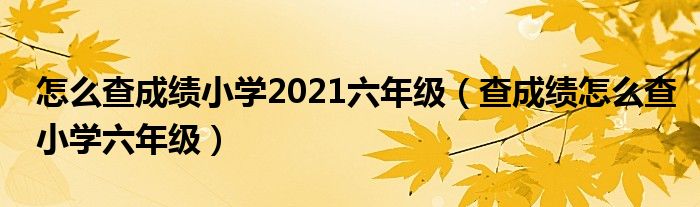 怎么查成績小學2021六年級（查成績怎么查小學六年級）