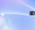 梁朝偉干湯唯圖片