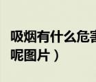 吸煙有什么危害呢圖片搞笑（吸煙有什么危害呢圖片）