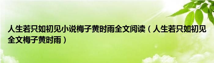 人生若只如初見小說梅子黃時雨全文閱讀（人生若只如初見全文梅子黃時雨）