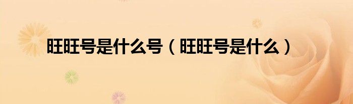 旺旺號是什么號（旺旺號是什么）
