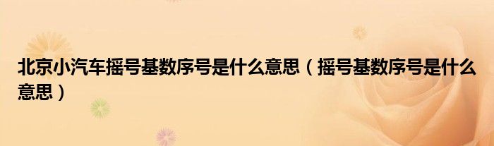 北京小汽車搖號基數(shù)序號是什么意思（搖號基數(shù)序號是什么意思）