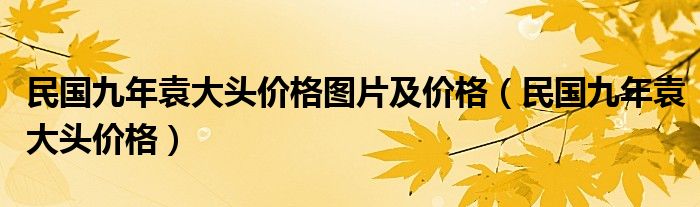 民國(guó)九年袁大頭價(jià)格圖片及價(jià)格（民國(guó)九年袁大頭價(jià)格）
