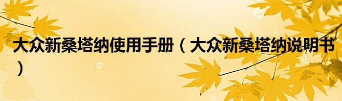 大眾新桑塔納使用手冊(cè)（大眾新桑塔納說明書）