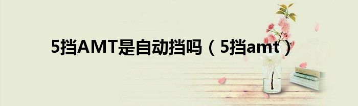 5擋AMT是自動擋嗎（5擋amt）