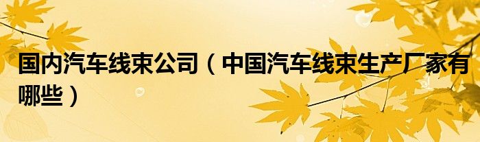 國內汽車線束公司（中國汽車線束生產廠家有哪些）