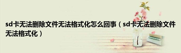 sd卡無法刪除文件無法格式化怎么回事（sd卡無法刪除文件無法格式化）