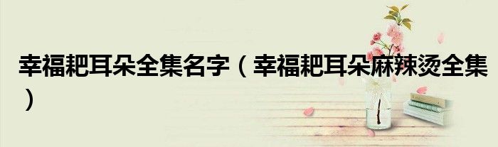 幸福耙耳朵全集名字（幸福耙耳朵麻辣燙全集）