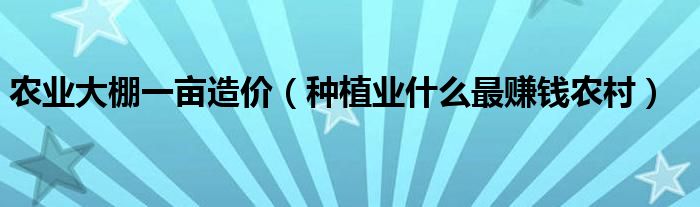 農(nóng)業(yè)大棚一畝造價（種植業(yè)什么最賺錢農(nóng)村）