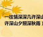 一往情深深幾許深山夕照深秋雨的思想感情（一往情深深幾許深山夕照深秋雨）
