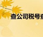 查公司稅號(hào)查詢（查公司稅號(hào)的網(wǎng)站）